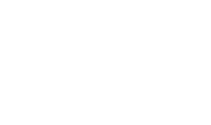 Orkest Phion